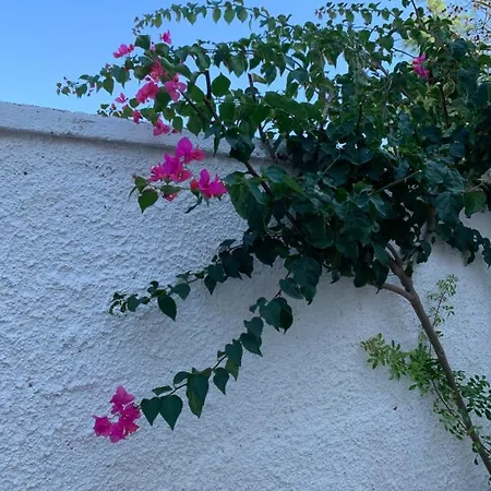 Appartamento Mansarda Sul Mare *